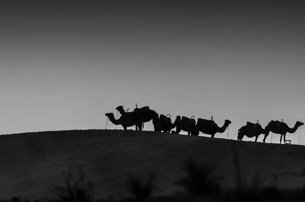 Camp Cameleon Hotel Marrakesh