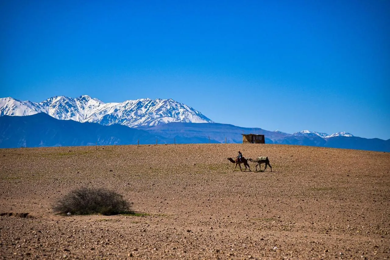 Camp Cameleon Hotel Marrakesh Luxury tent